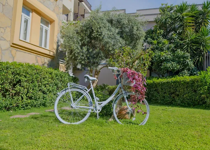 Village Family 锡德