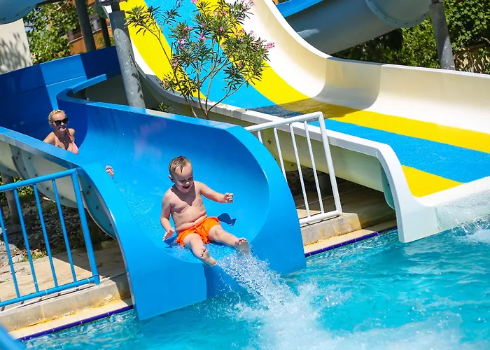 Village Family 锡德