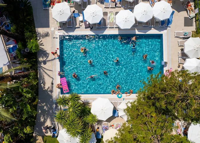 Village Family シダ