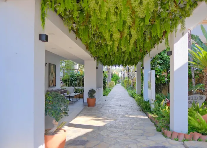 Village Family シダ